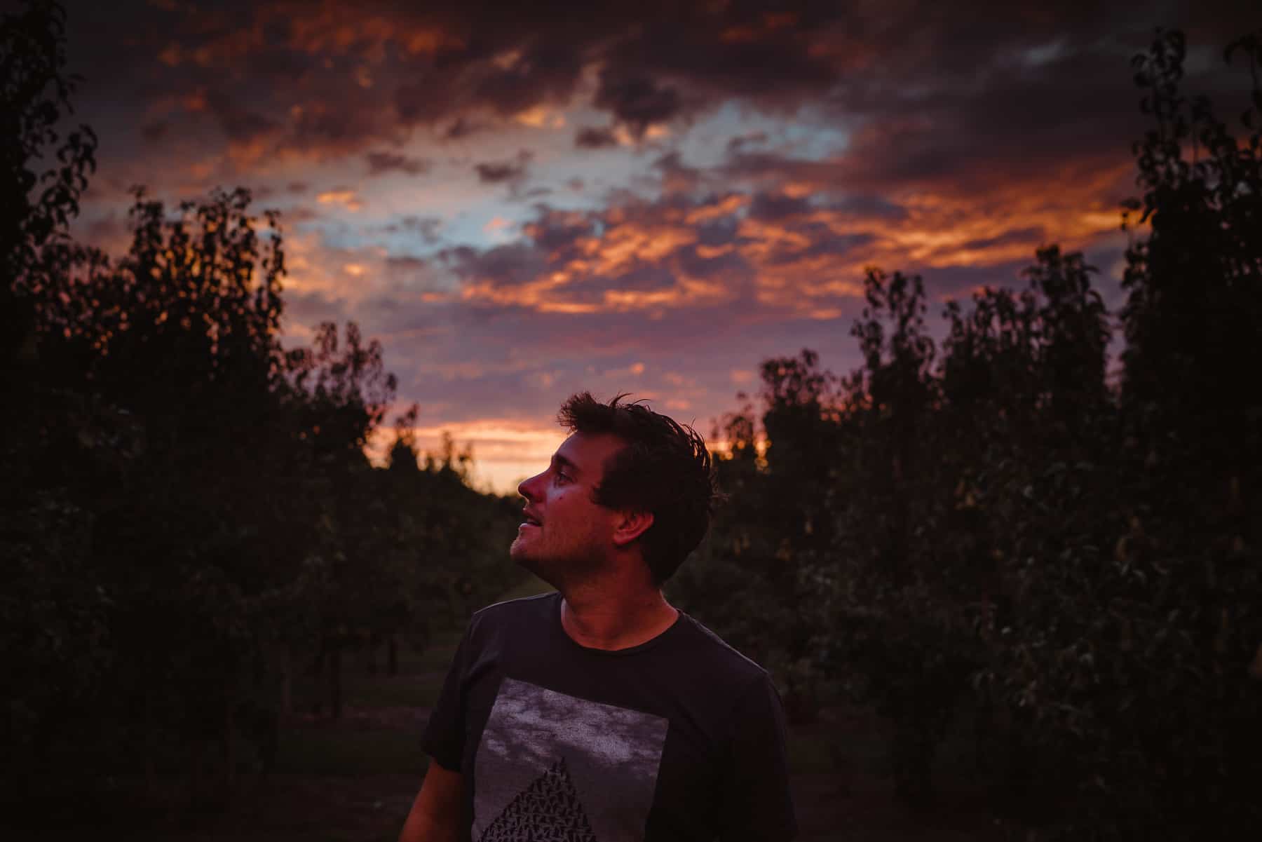 slapen logeren hoeves boerderij