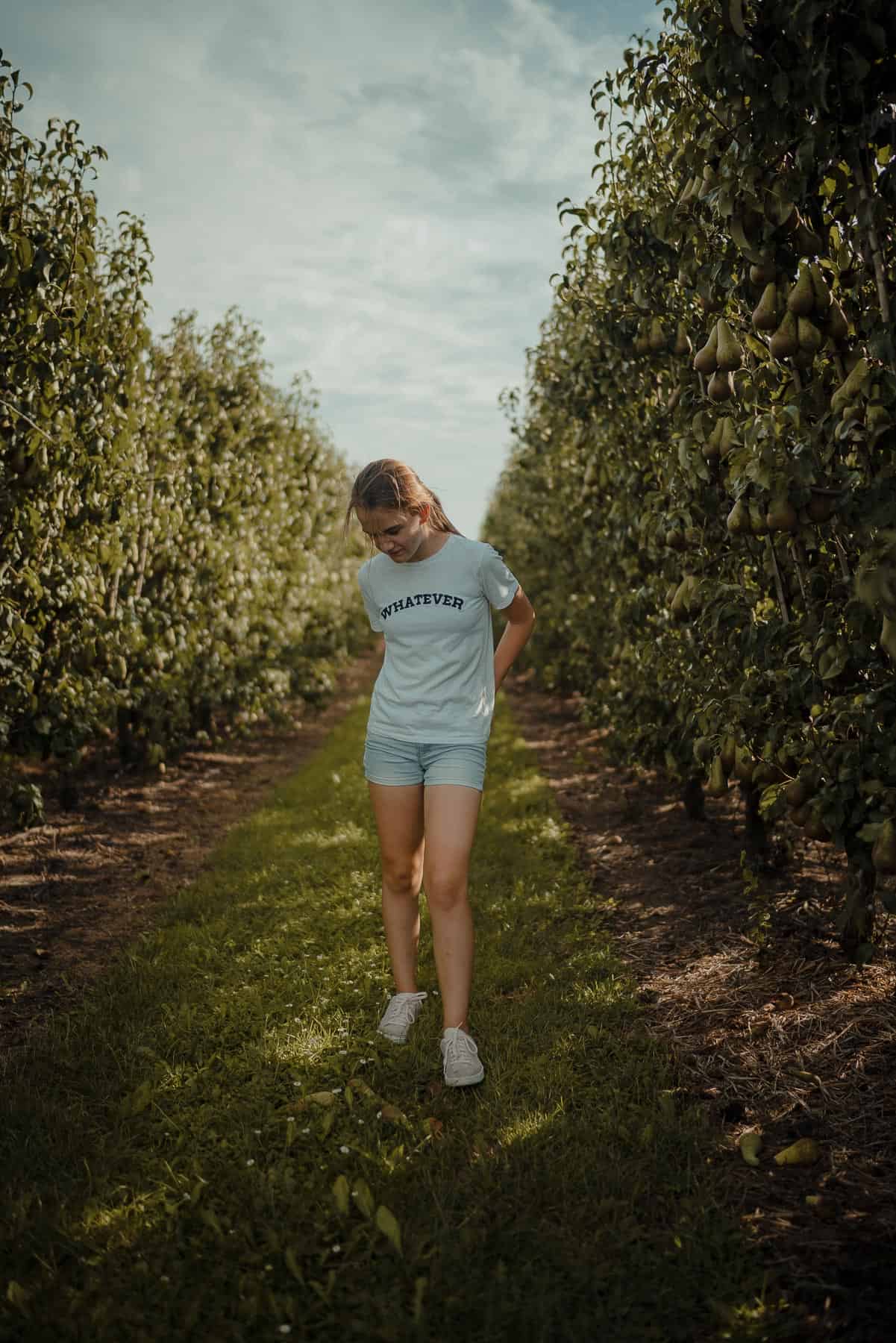 vakantiehoeve berckelaer