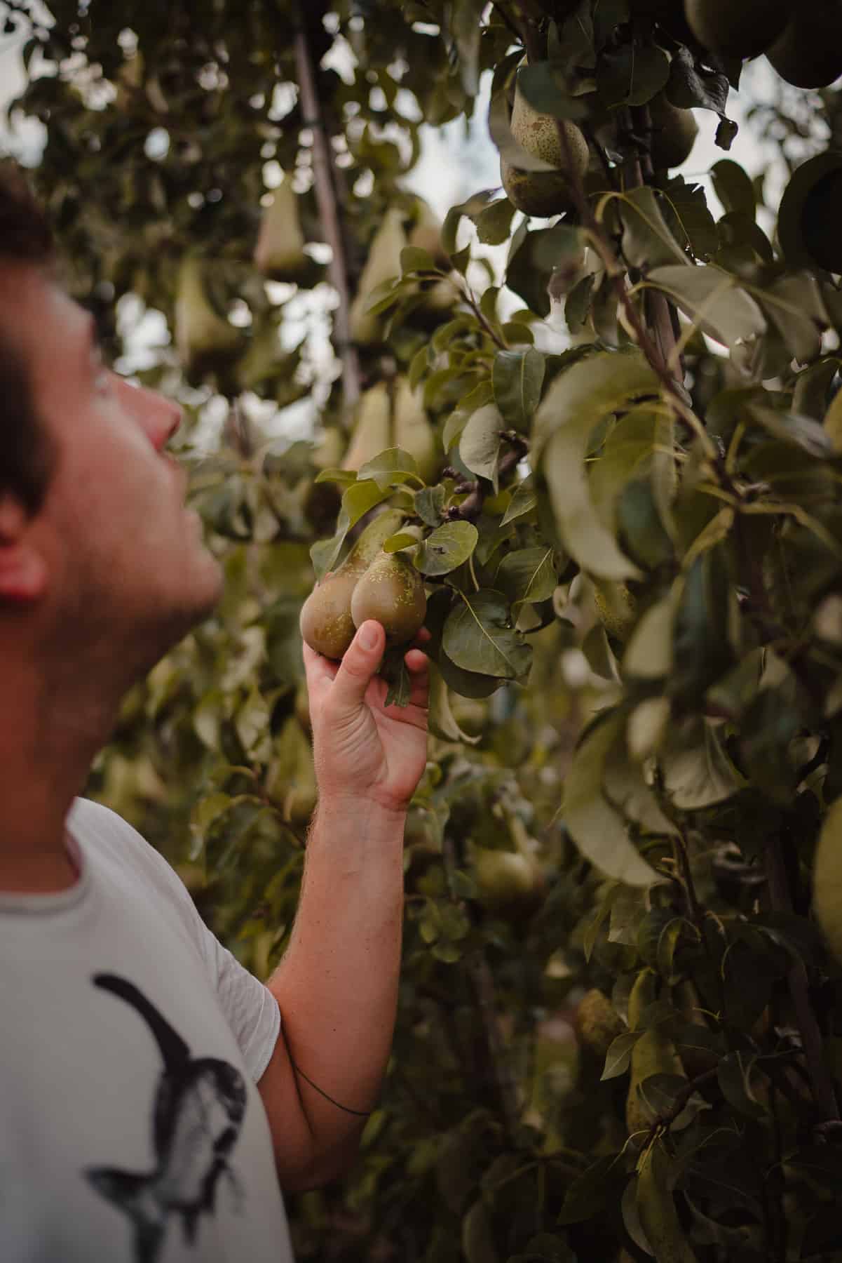 logeren op de boerderij