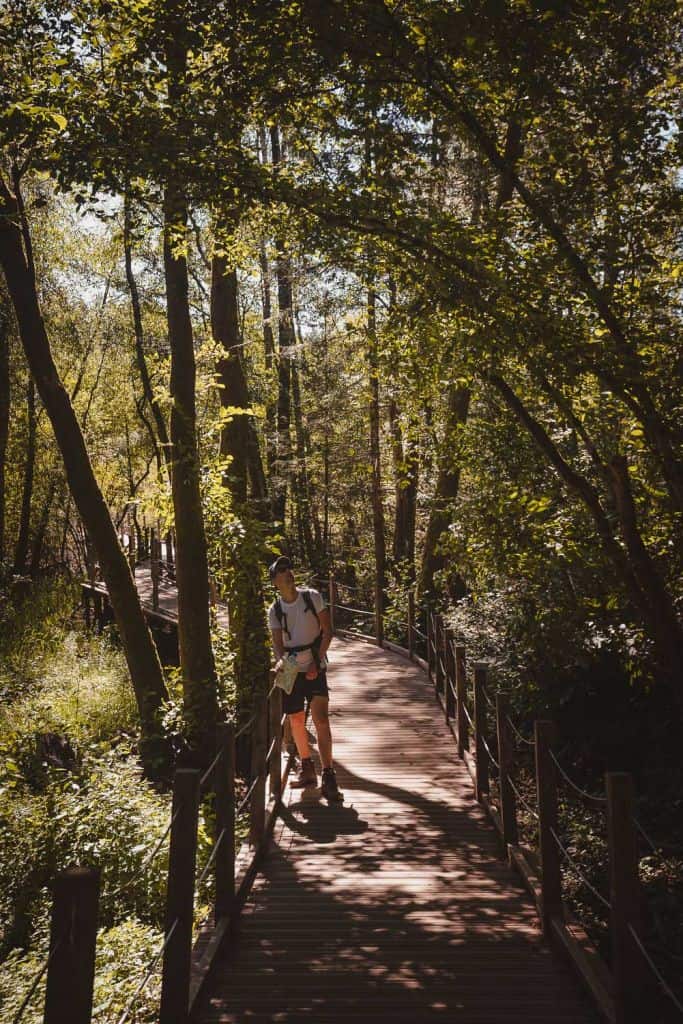 Een persoon met een wit overhemd, een korte broek en een rugzak staat op een houten promenade omringd door een weelderig groen Morvanbos. Zonlicht filtert door de hoge bomen en werpt gevlekte schaduwen langs het pad bij serene meren die perfect zijn om te zwemmen.