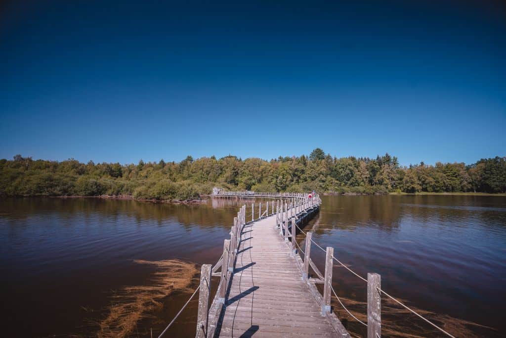 zwemmen in frankrijk meren lac de settons