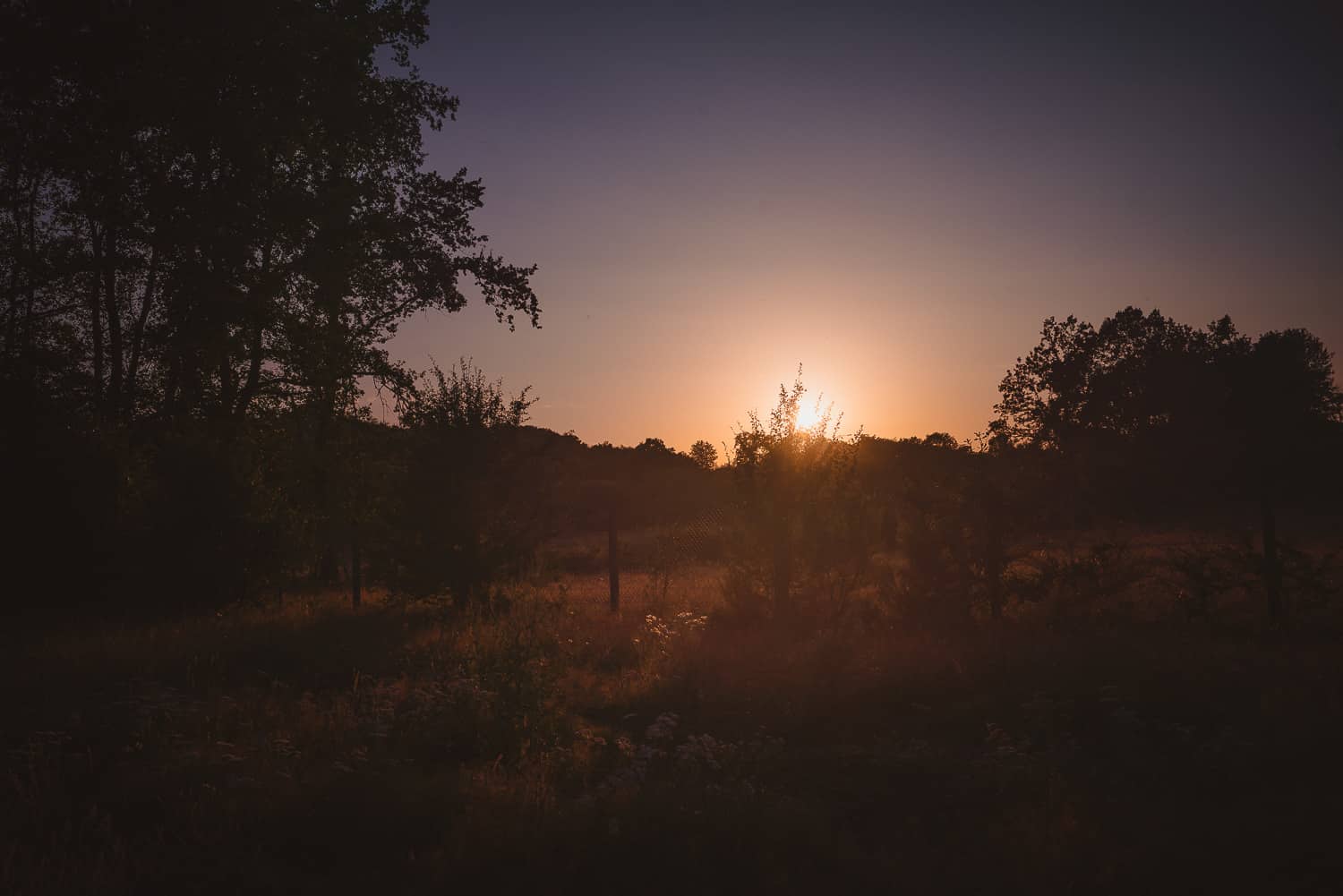 wildkamperen frankrijk
