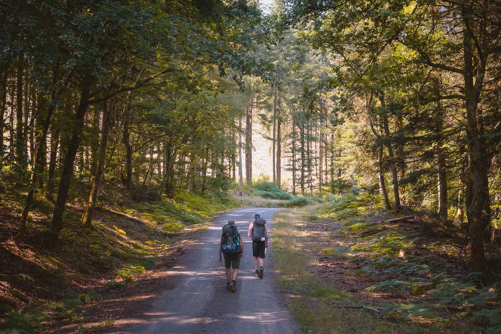 Zwemmen in de meren van de Morvan