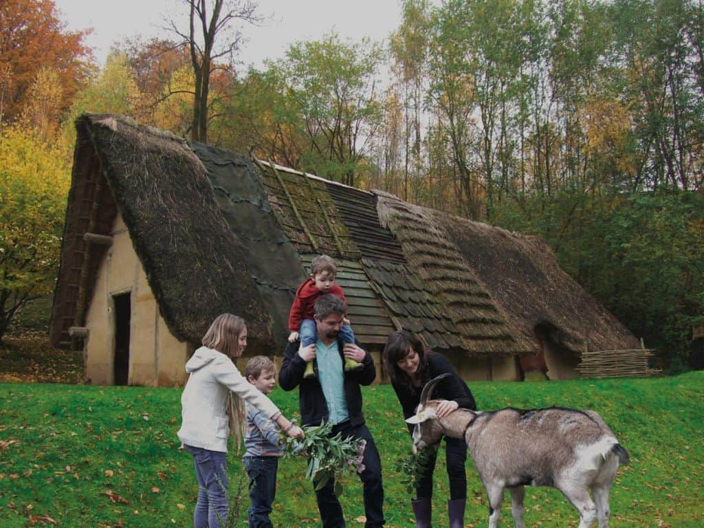bezoek wallonie prehistorisch museum