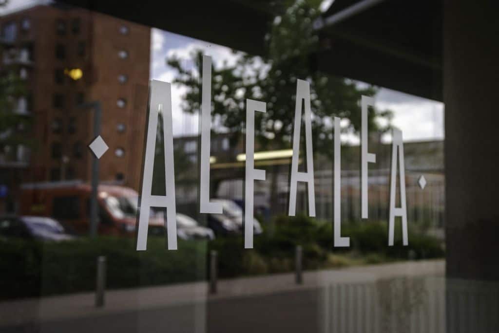food sharing falafel alfalfa