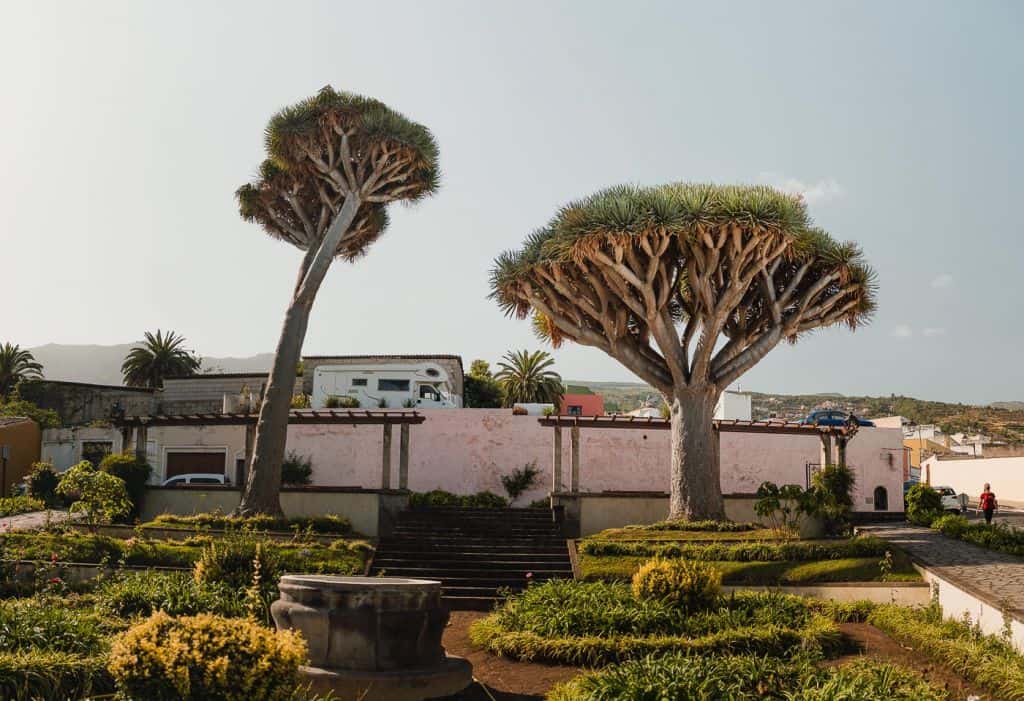 tenerife in de winter
