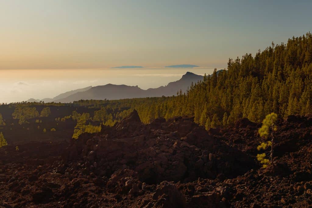 tenerife masca kloof roadtrip