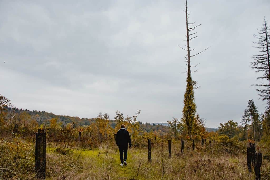 wandelen door de bossen in de ardennen