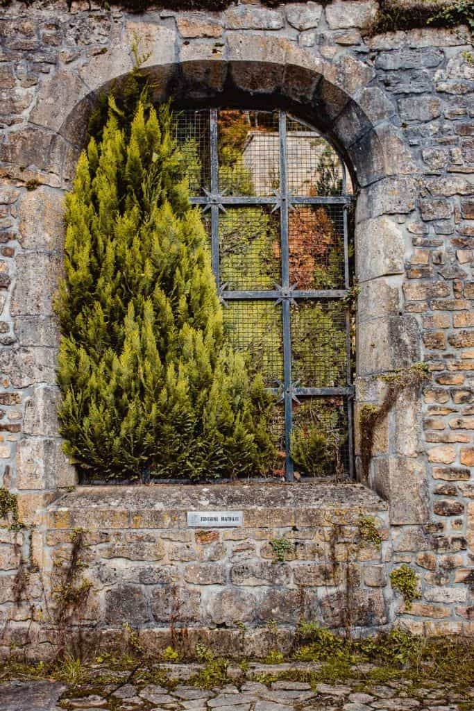 raam met plant in ruïnes abdij van orval