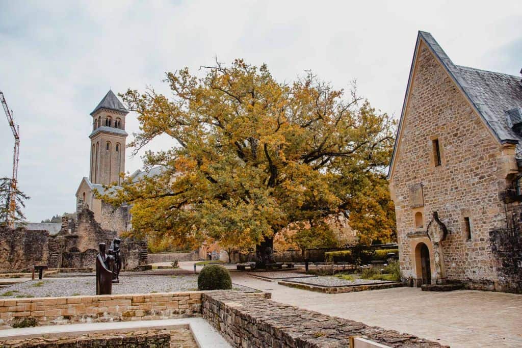 abdij van orval binnenplaats boom