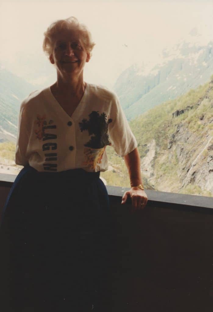 zicht op videseter in noorwegen