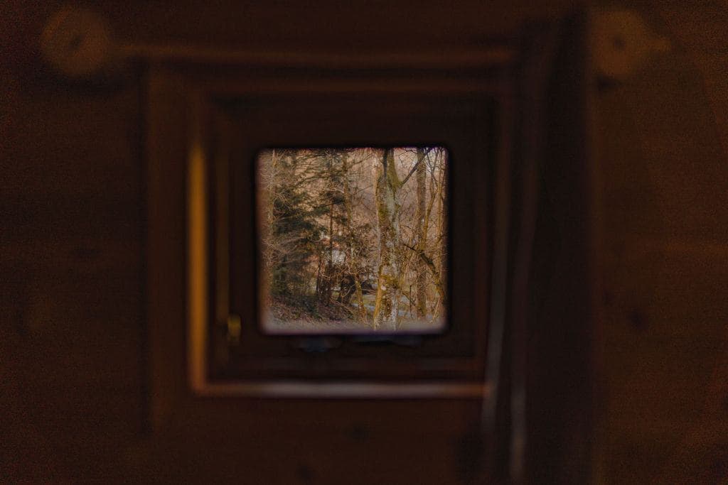 boomhut ardennen