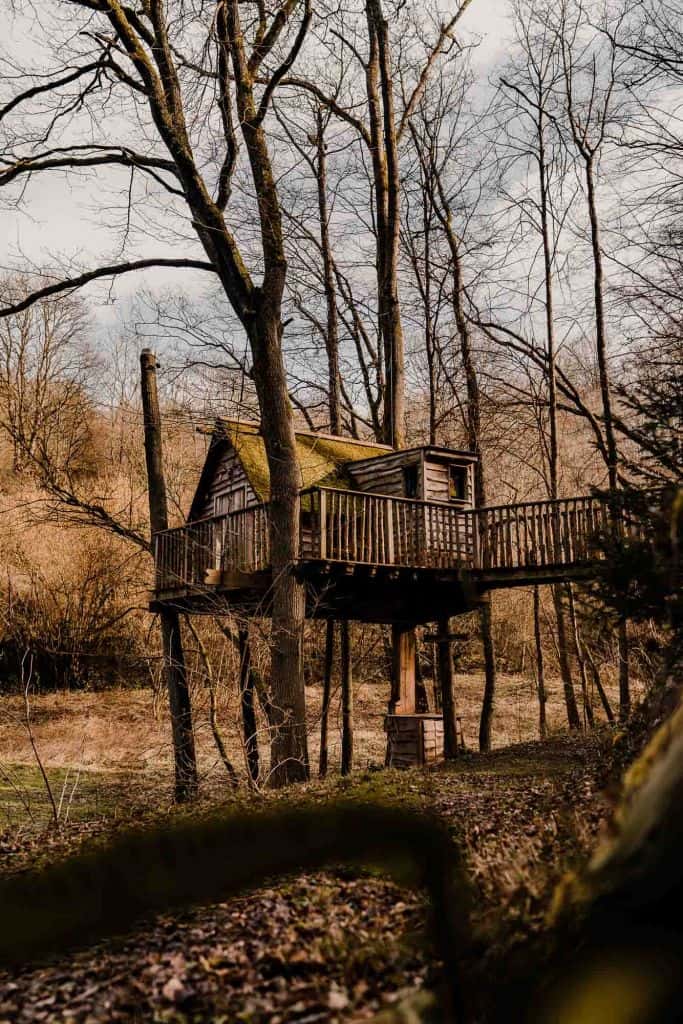 ardennen boomhutten