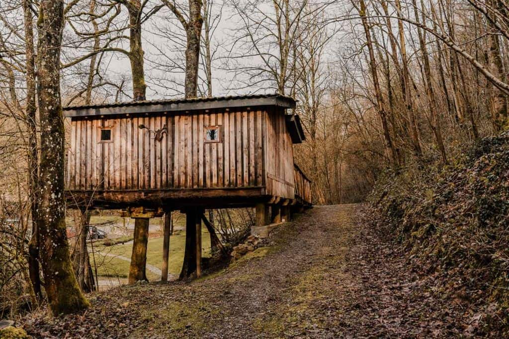 boomhutten in de ardennen