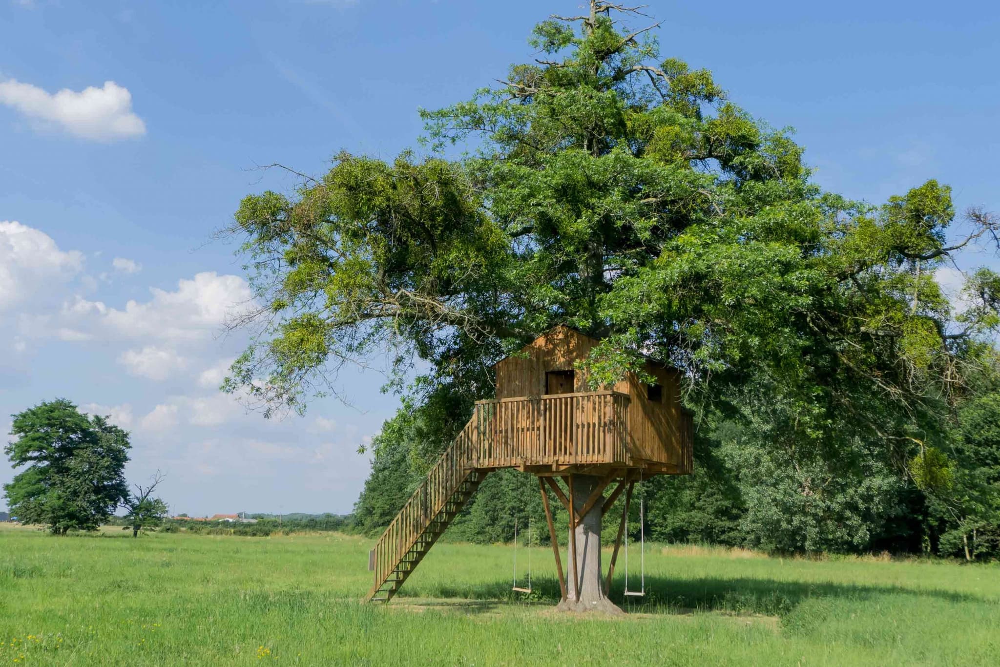 slapen in boomhutten