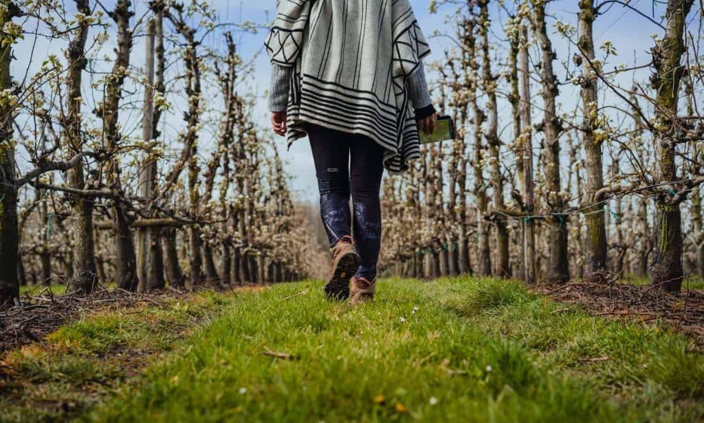 wandelen in limburg