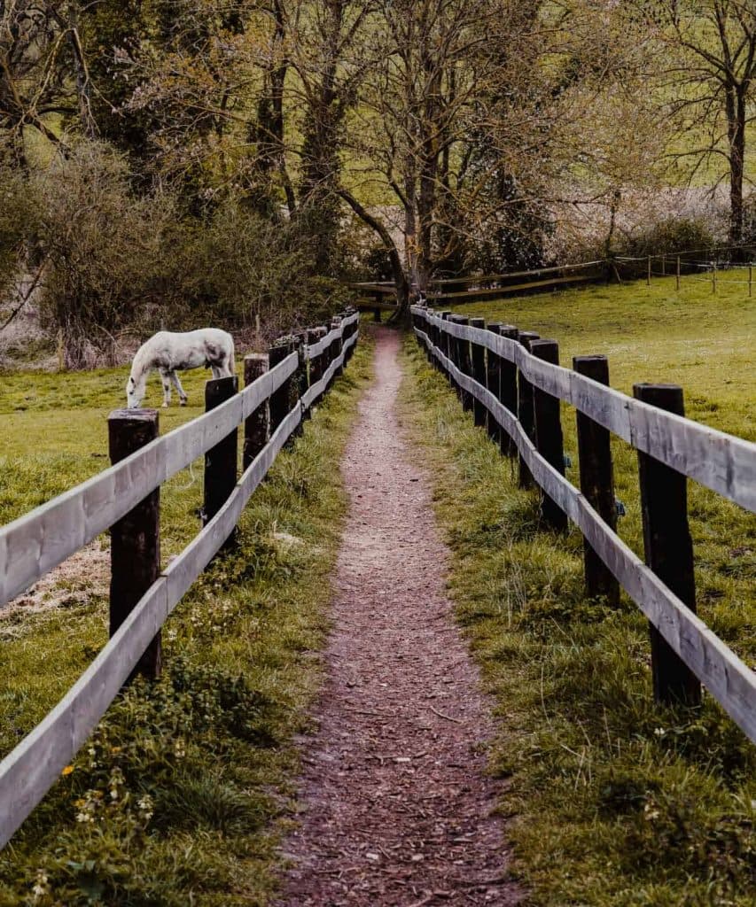 wandelen in borgloon