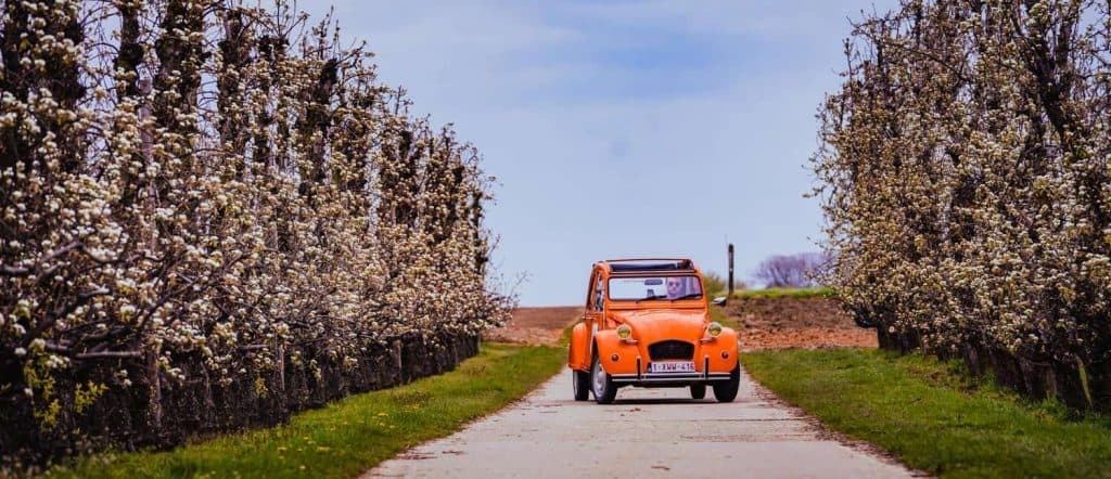 geit huren haspengauw