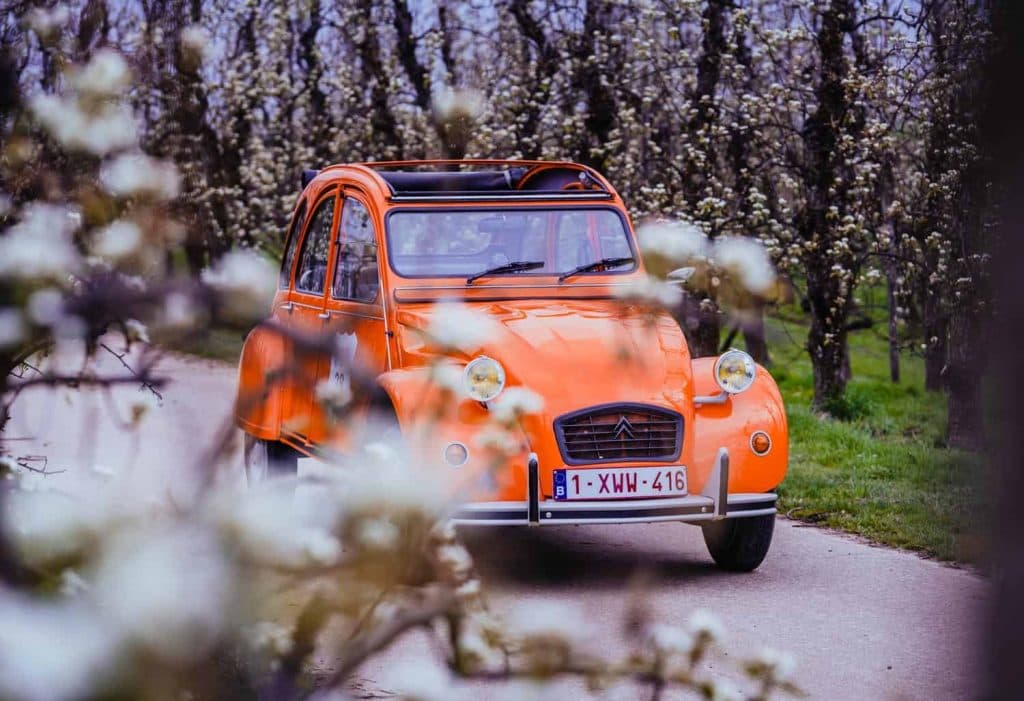 haspengauw auto huren