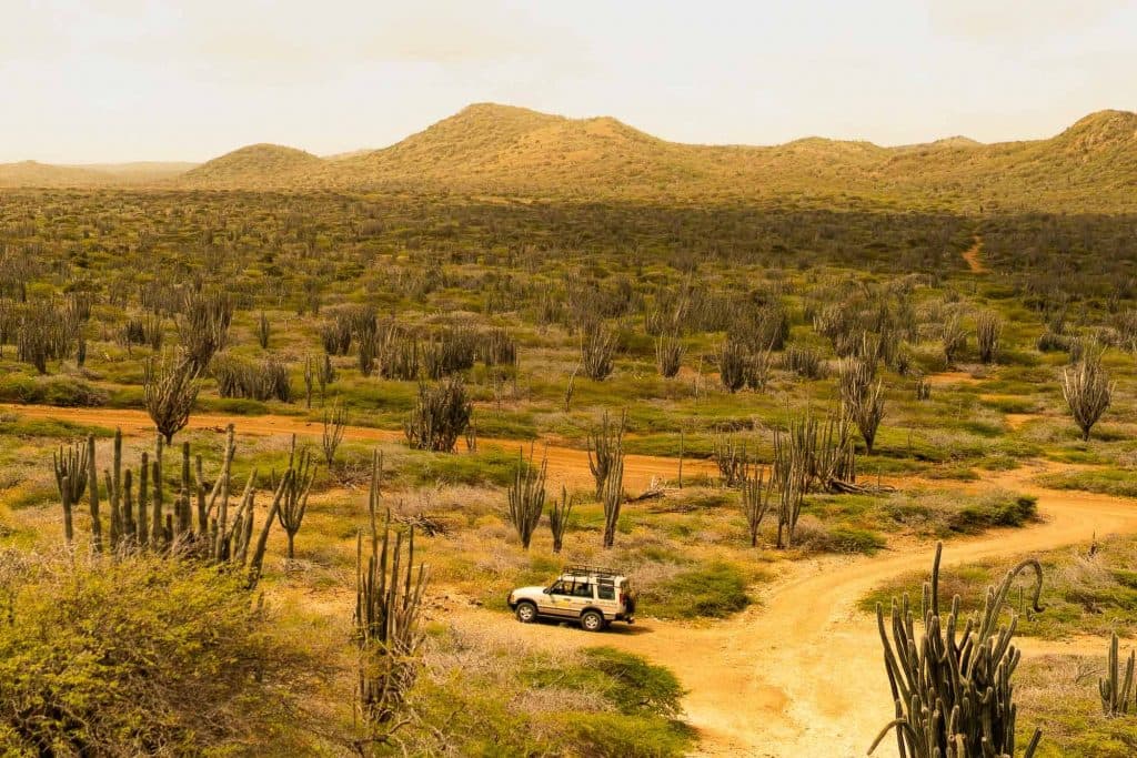 bonaire nationaal park