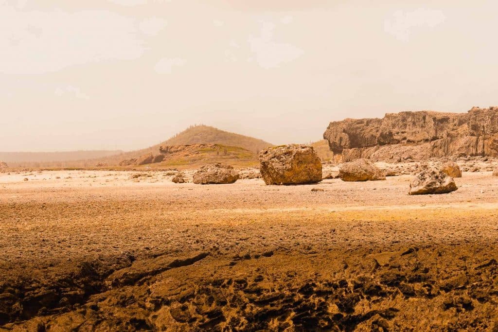 natuur reservaat bonaire