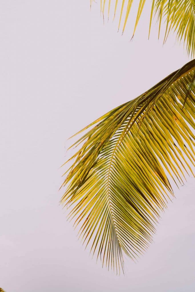 bonaire strandvakantie