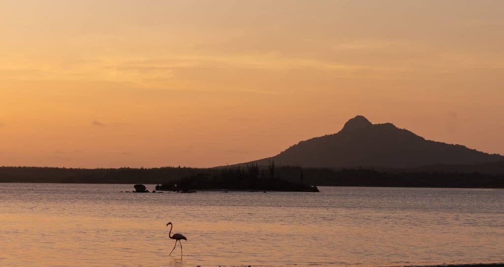 strandvakantie bonaire