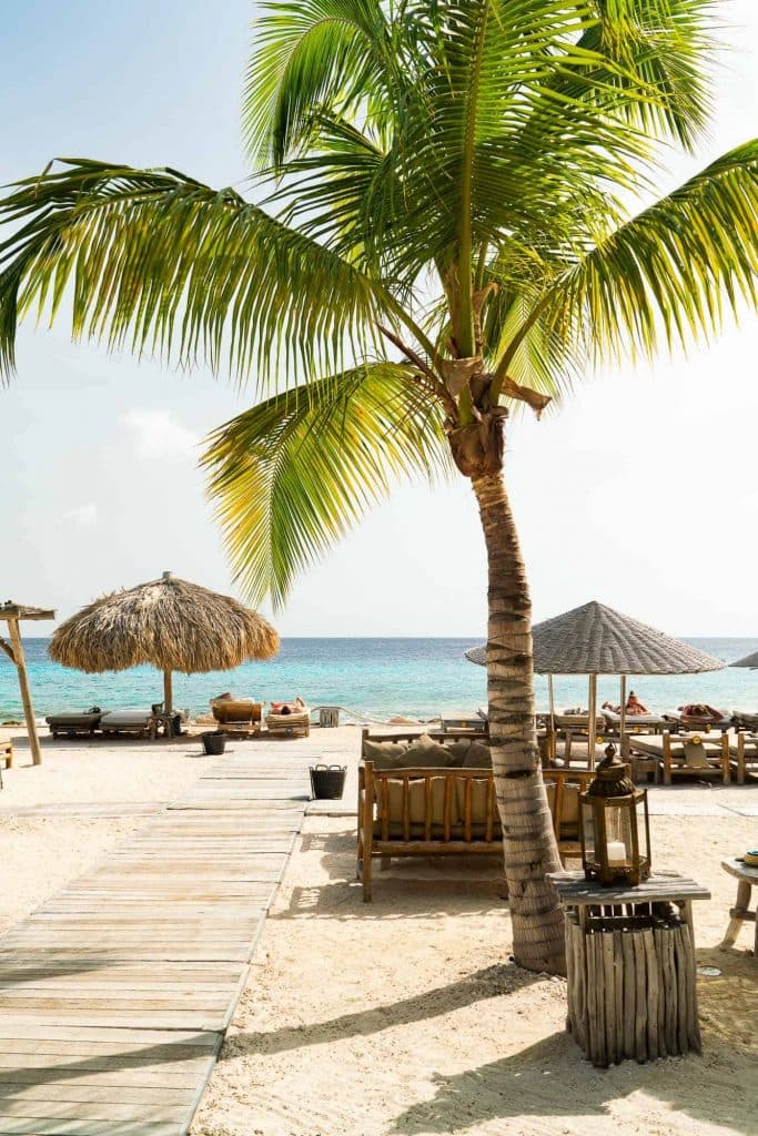 ocean oasis bonaire restaurant