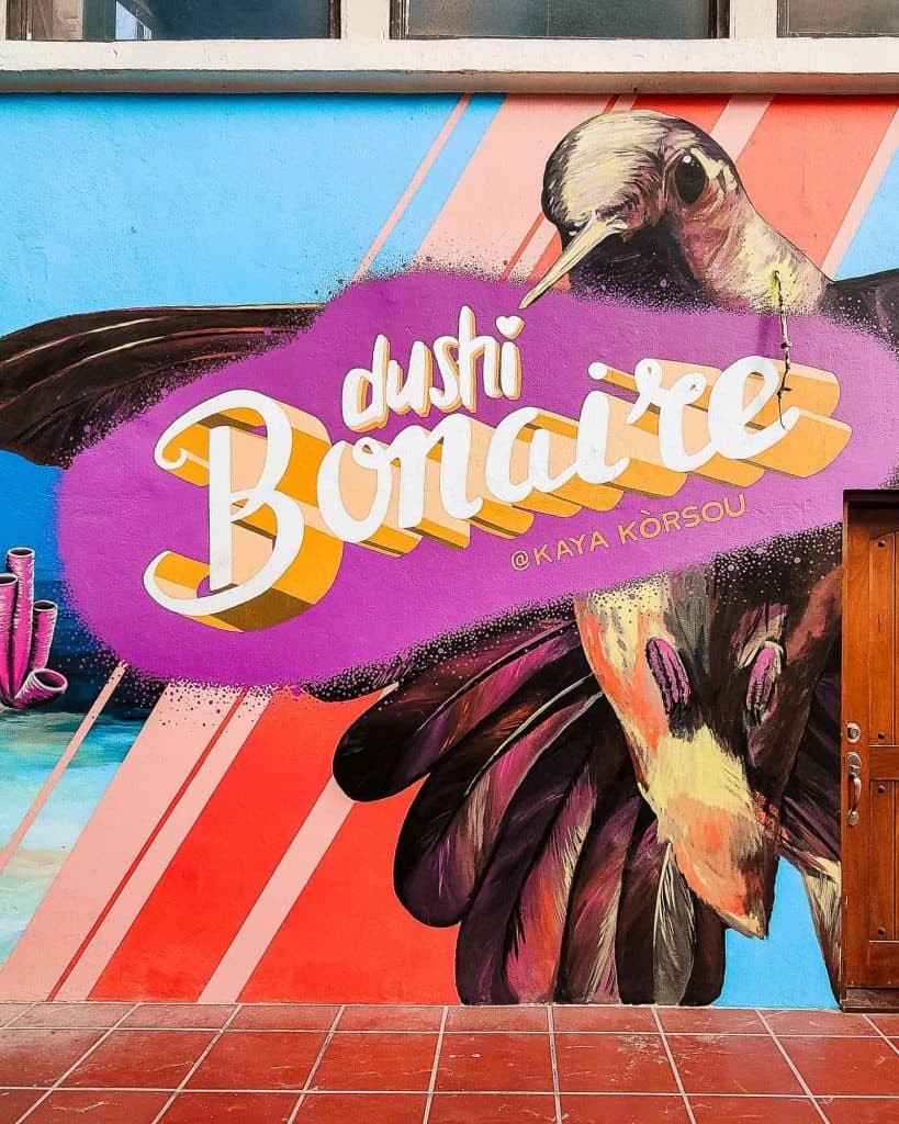 wat te doen in bonaire caraiben-10