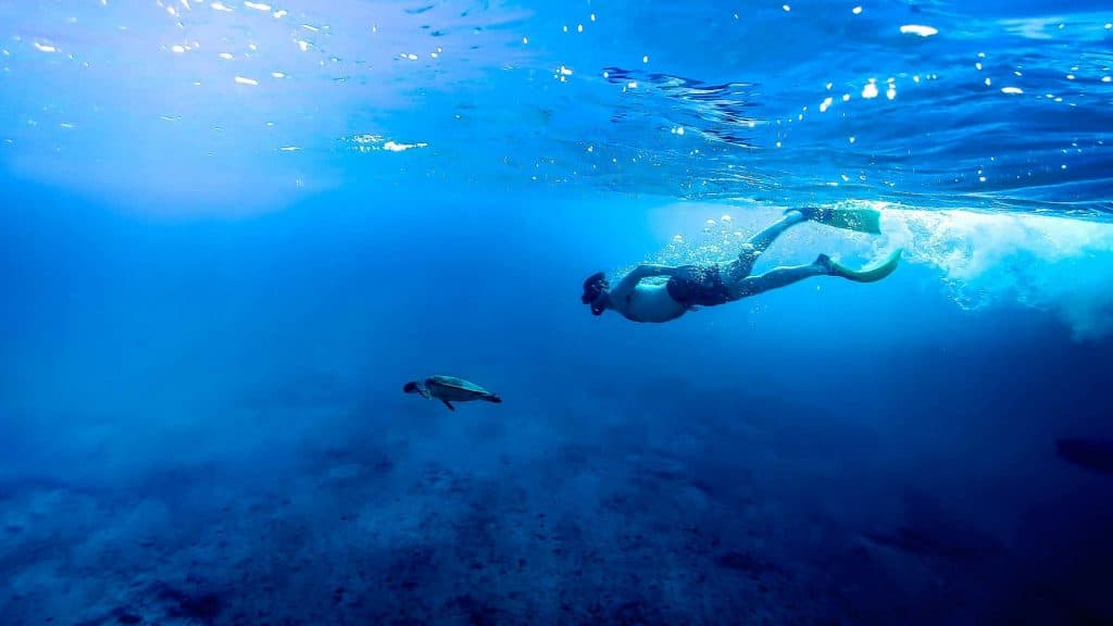 beste duikplekken caraiben