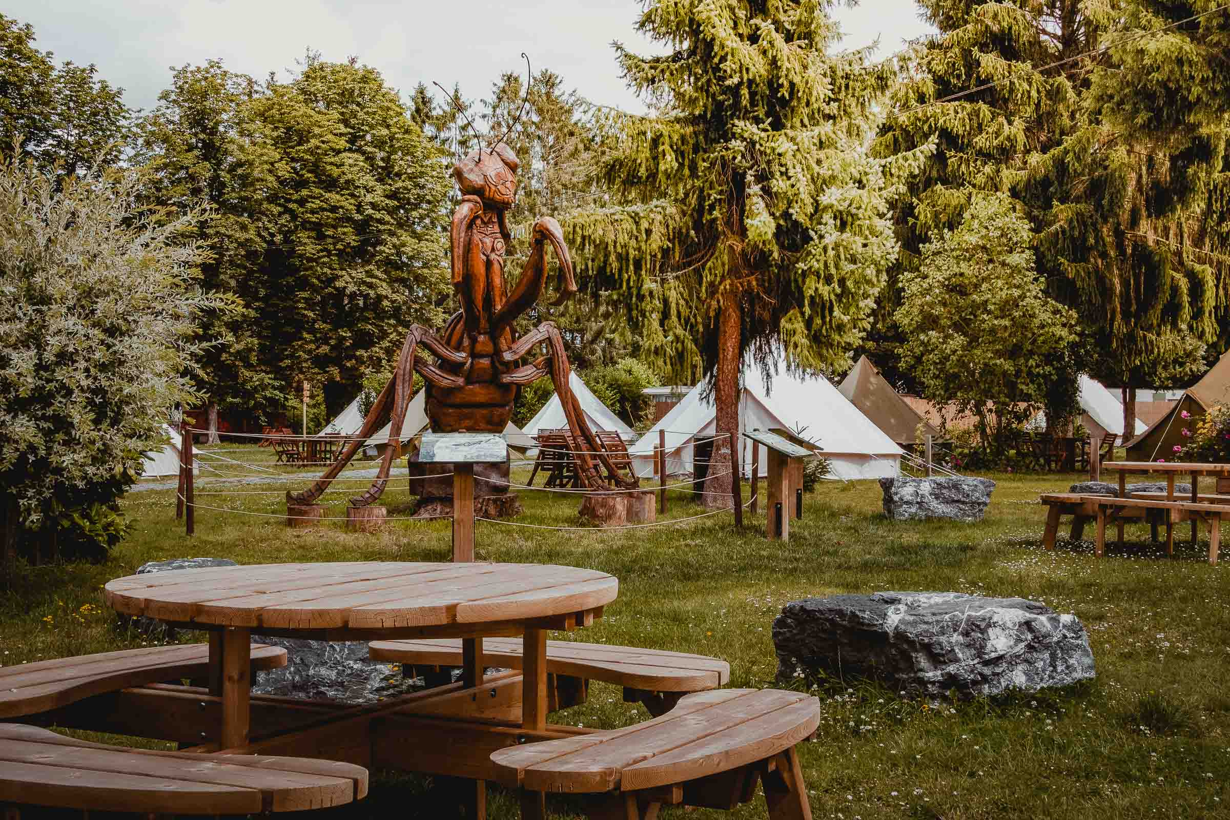 Glamping in de ardennen