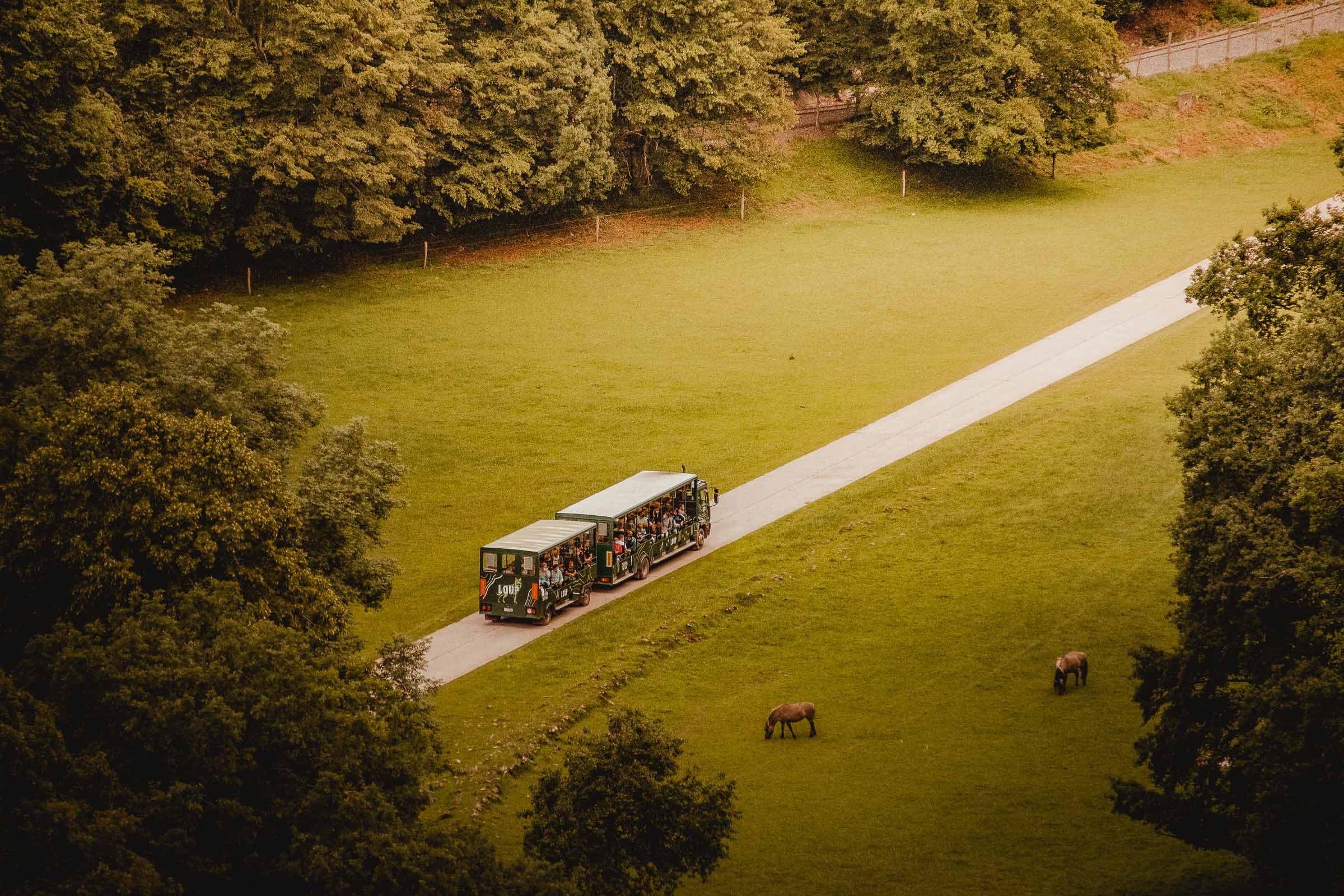 grotten van han bezoeken wildpark