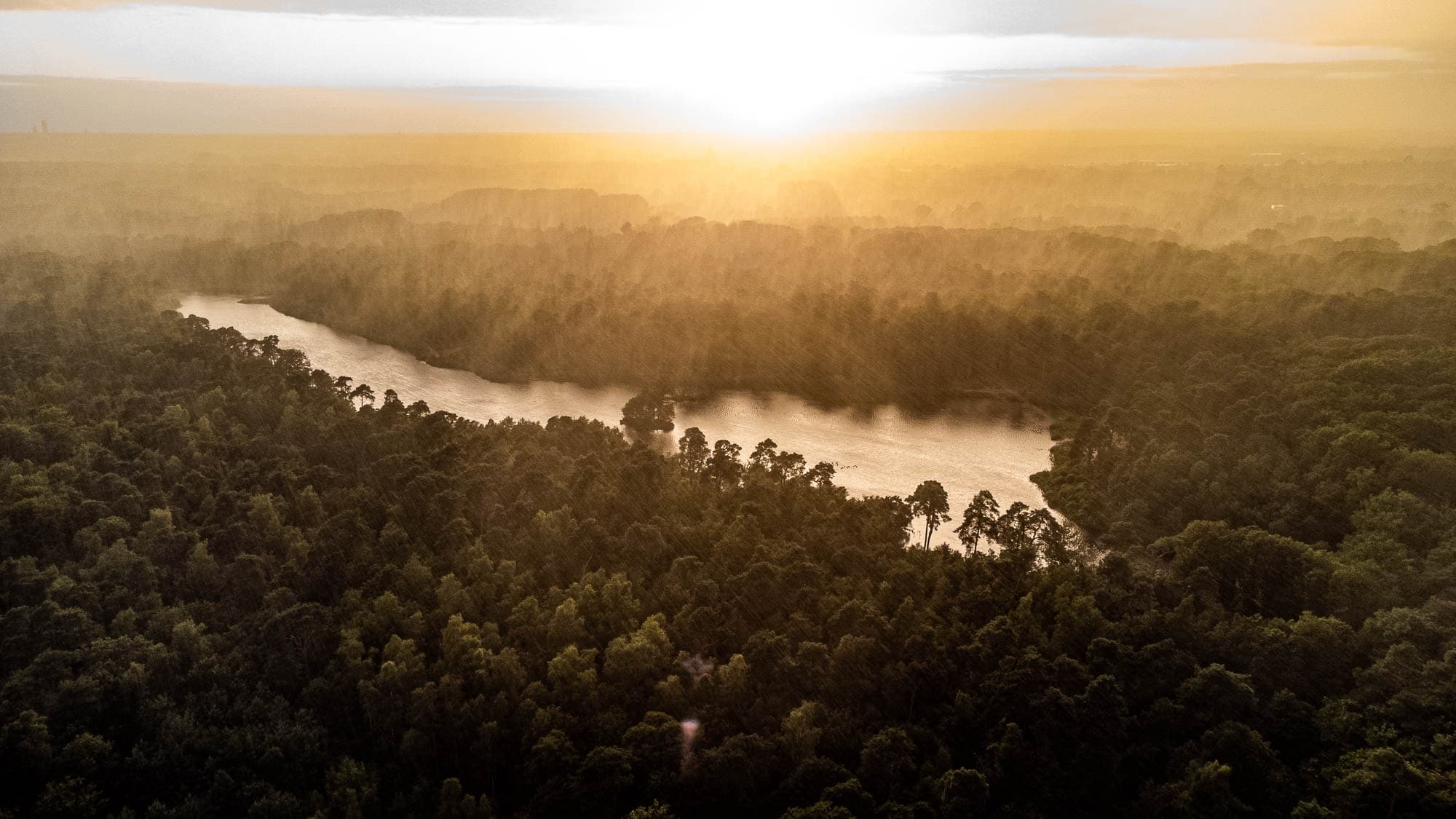 oisterwijkse bossen en vennen wandelen