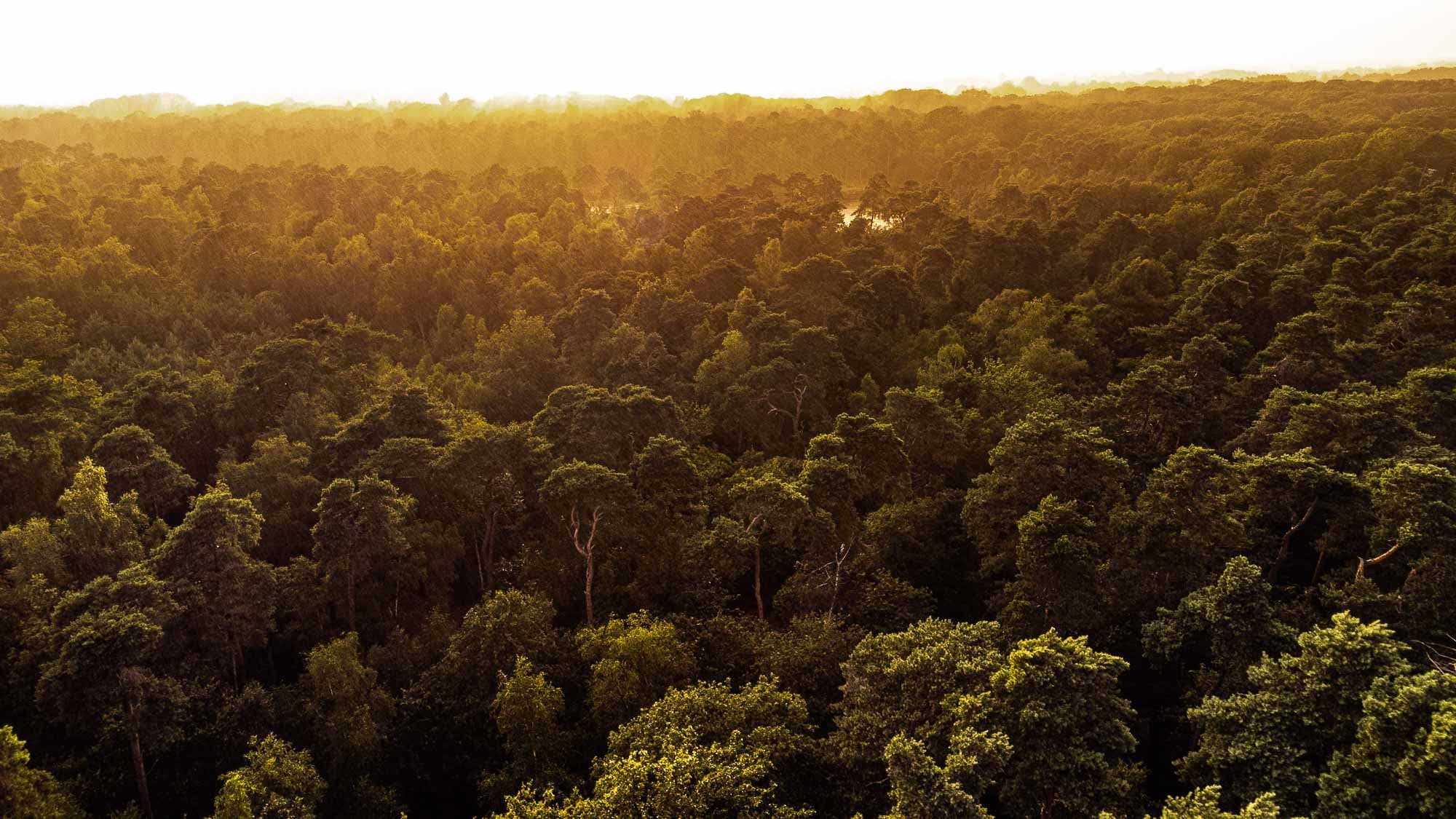 14vennen route tilburg