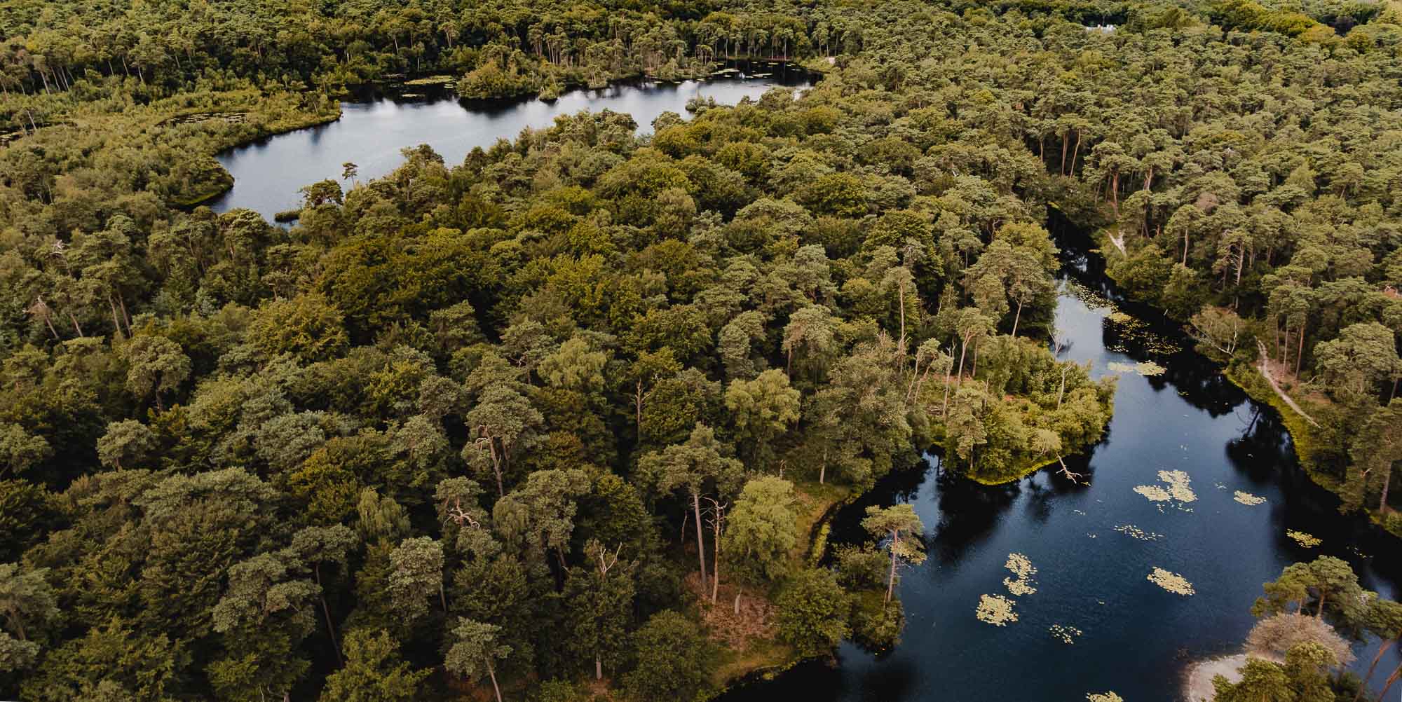 oisterwijkse bossen en vennen wandelen