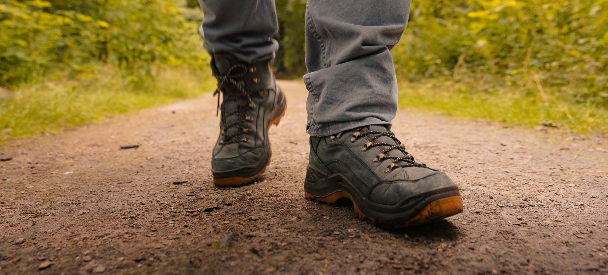 wandelen in oisterwijk en kampina