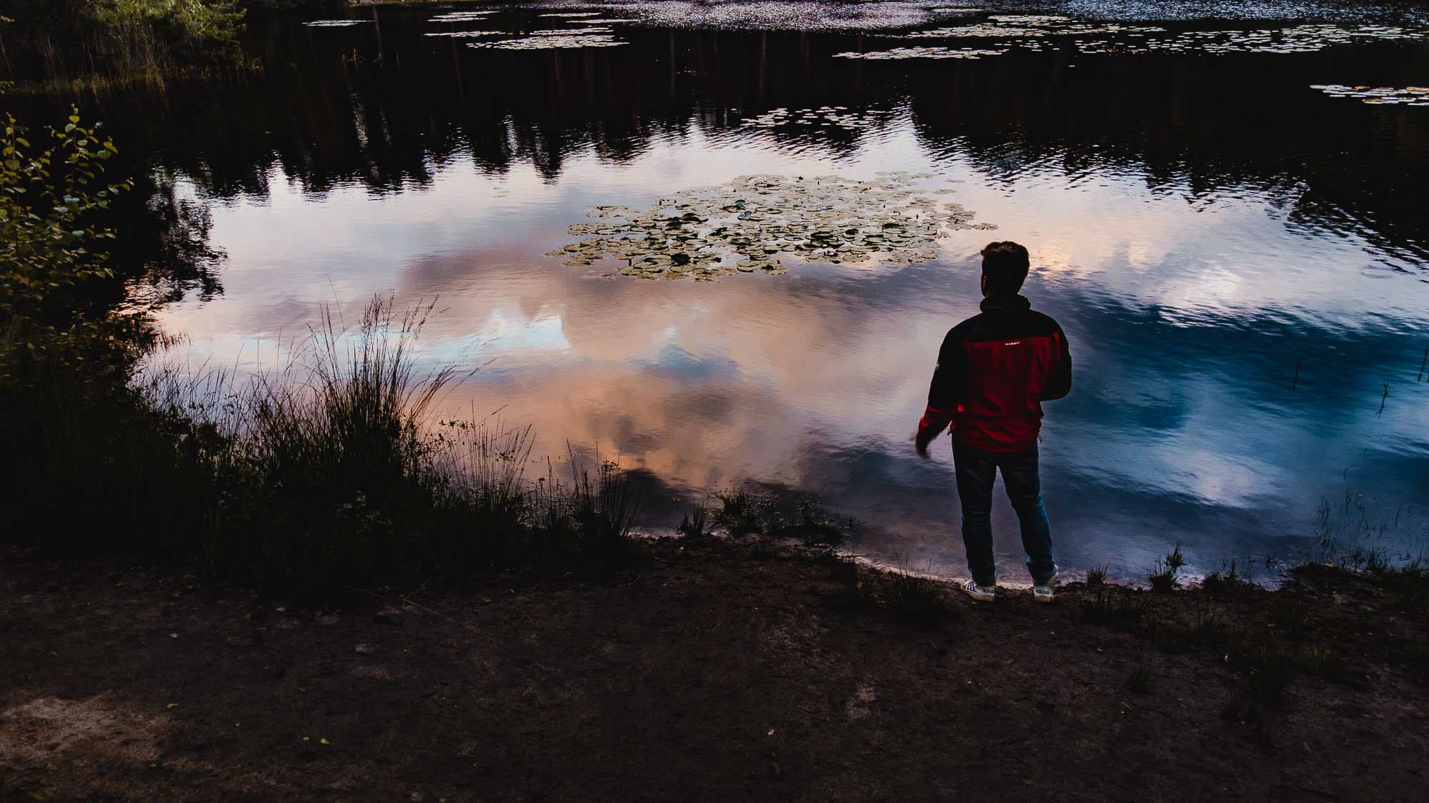 oisterwijk en kampina