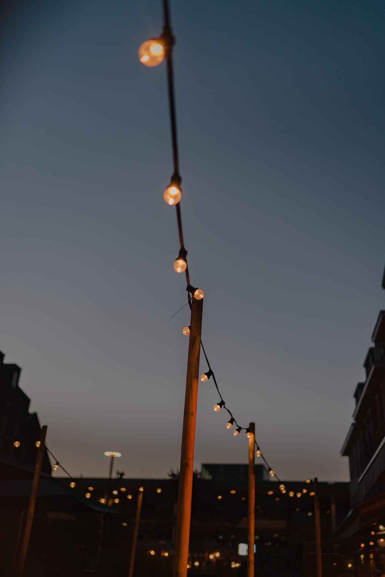 de lind oisterwijk cafe