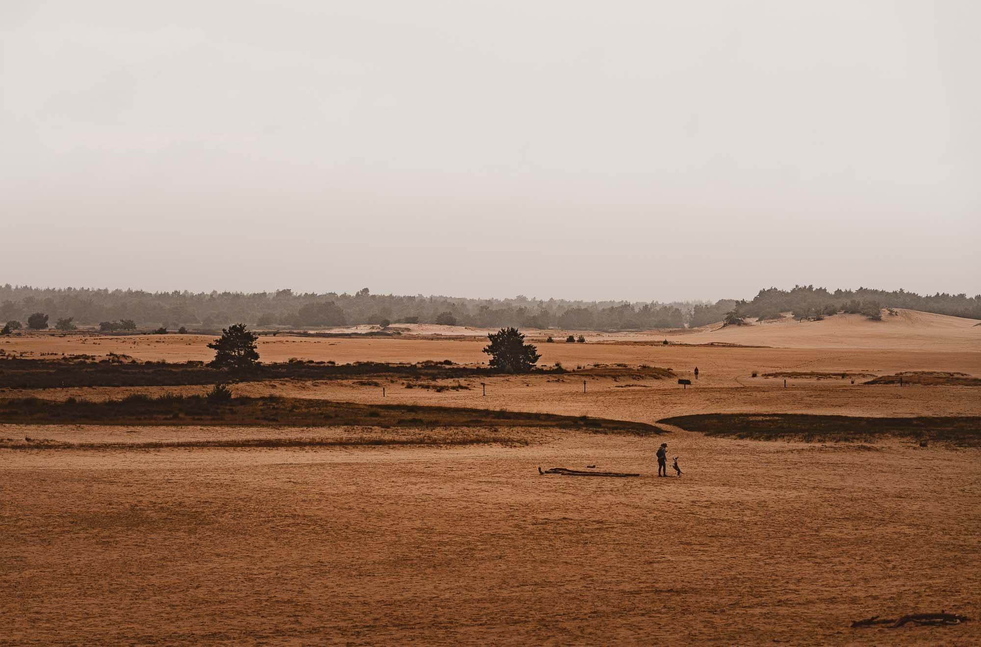 drunense en loonse heiden