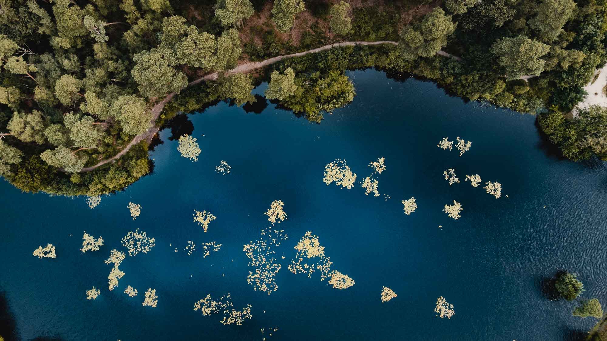Wildzwemmen in Nederland