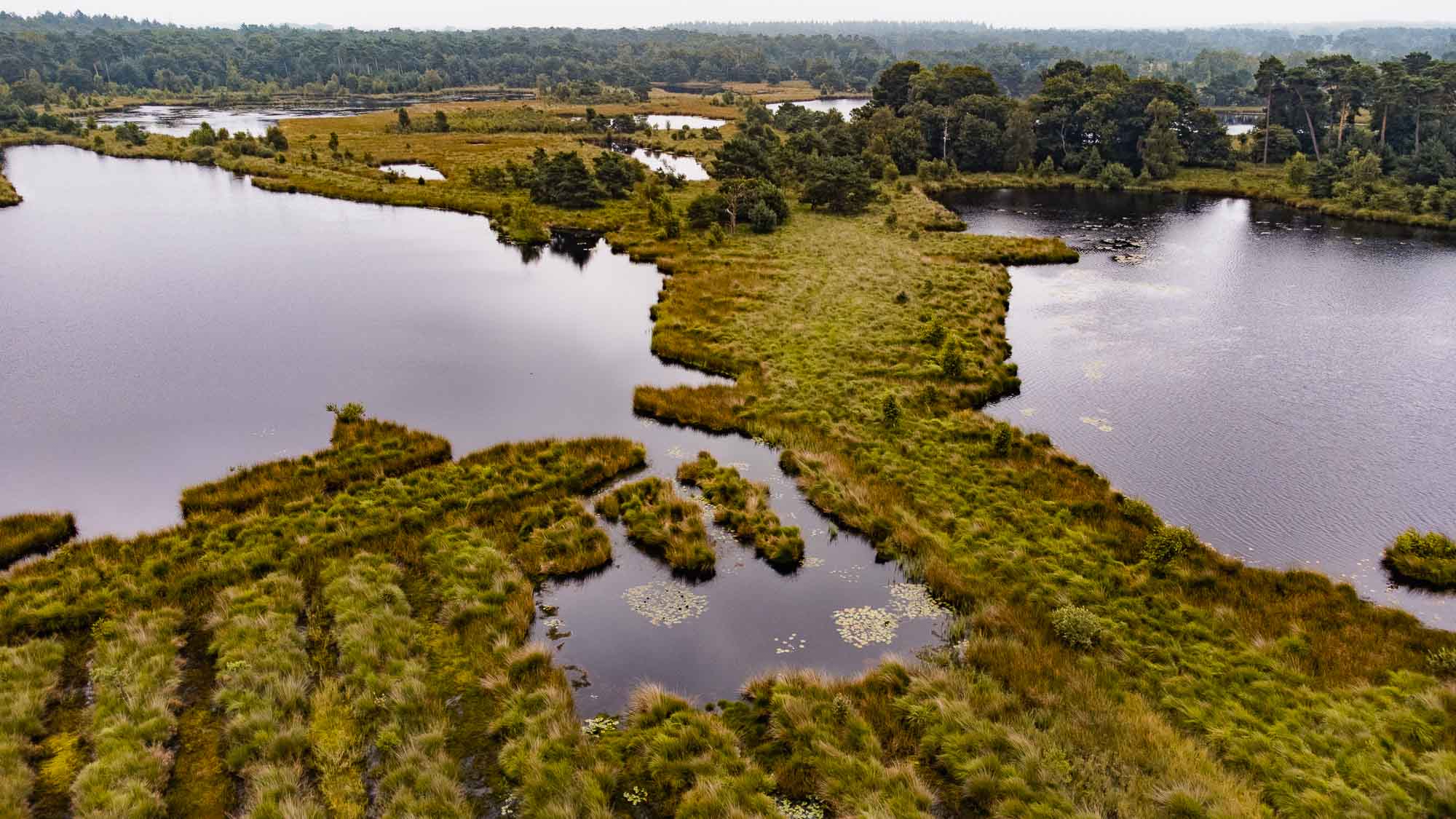 kampina