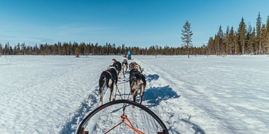 waar huskytochten boeken zweden