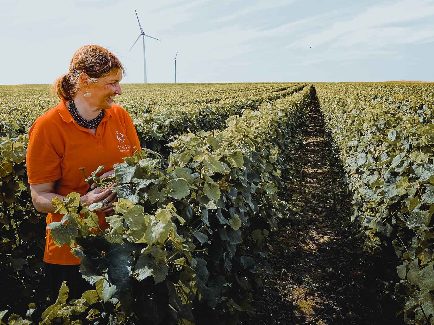 wijngaard chant d'eole mons
