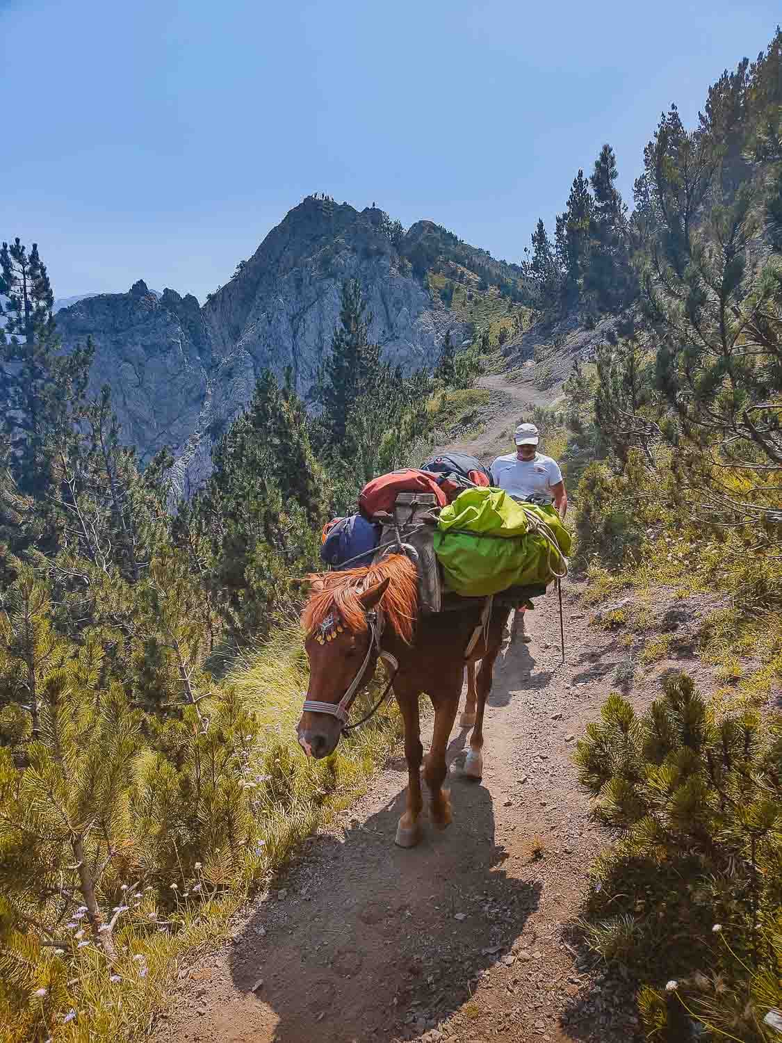 wandelen valbona pass