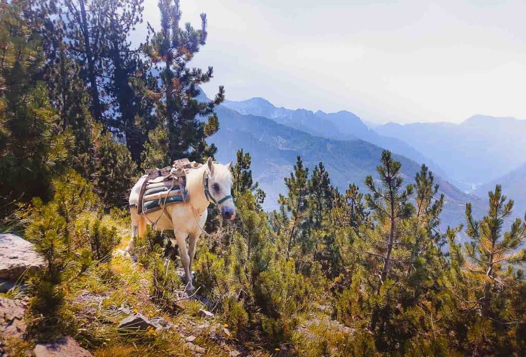 valbona naar theth hike