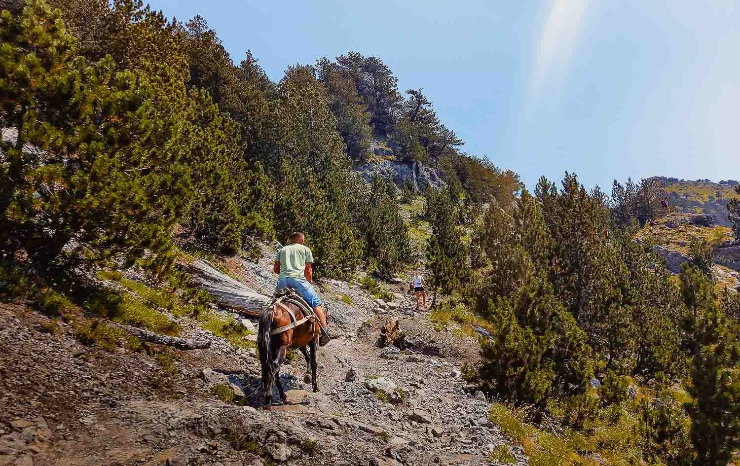 valbona nationaal park