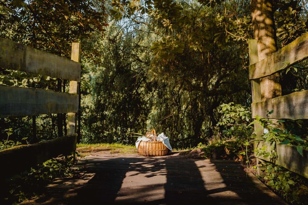 lekker ontbijten in de natuur