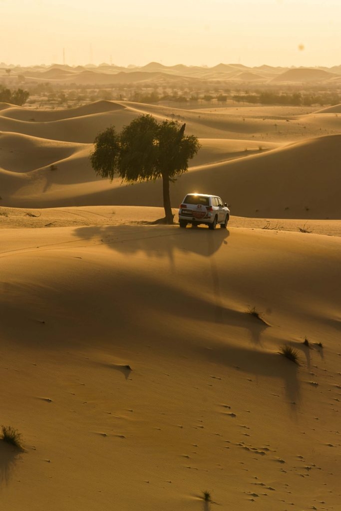 safari in de woestijn abu dhabi