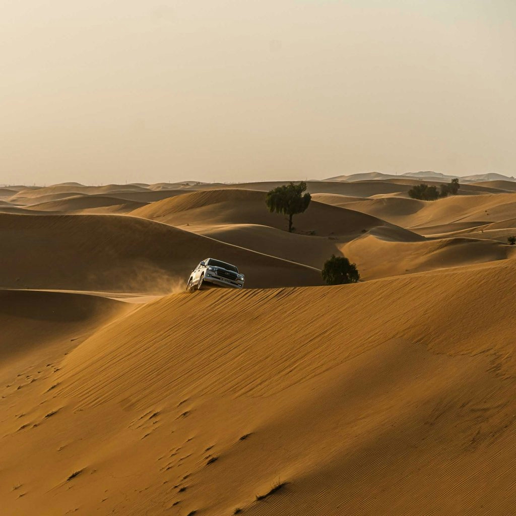 een desert safari maken in abu dhabi