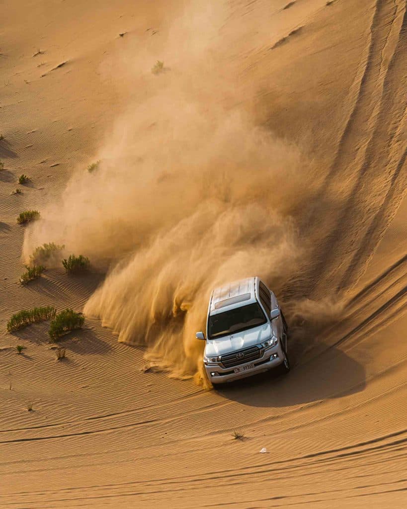 woestijn safari boeken